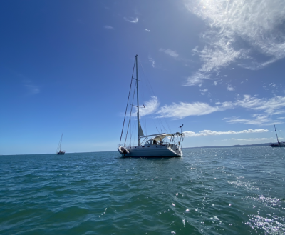 catamaran for sale fiji